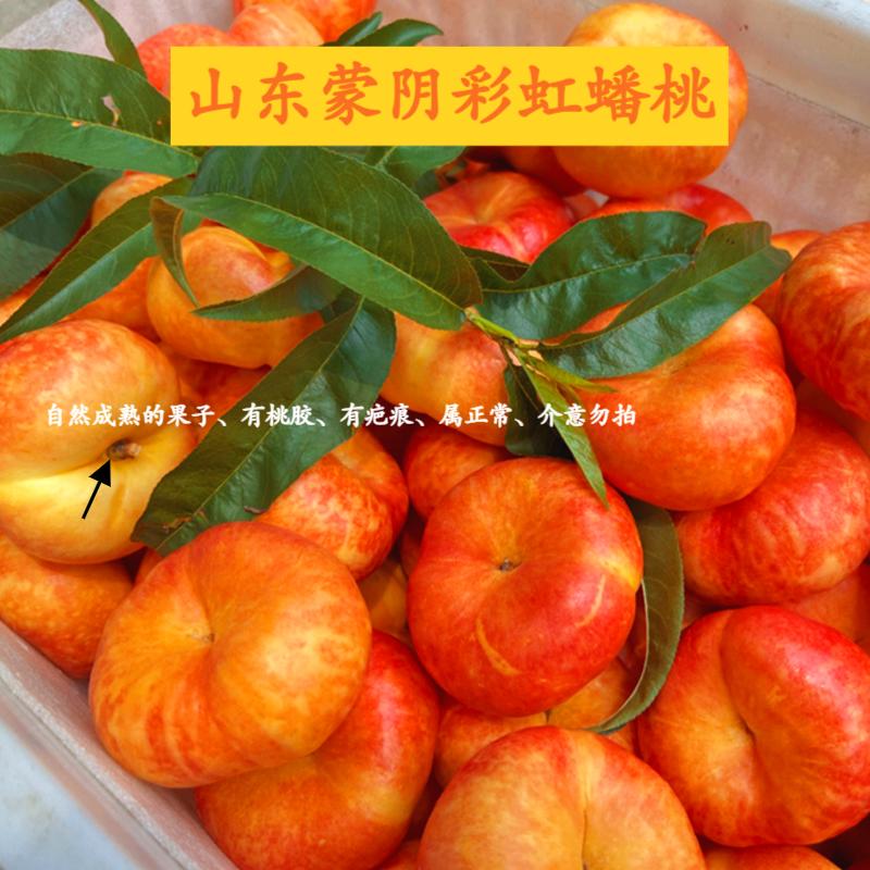 【顺丰京东】 山东蒙阴   彩虹油蟠桃  4斤装    新鲜采摘  