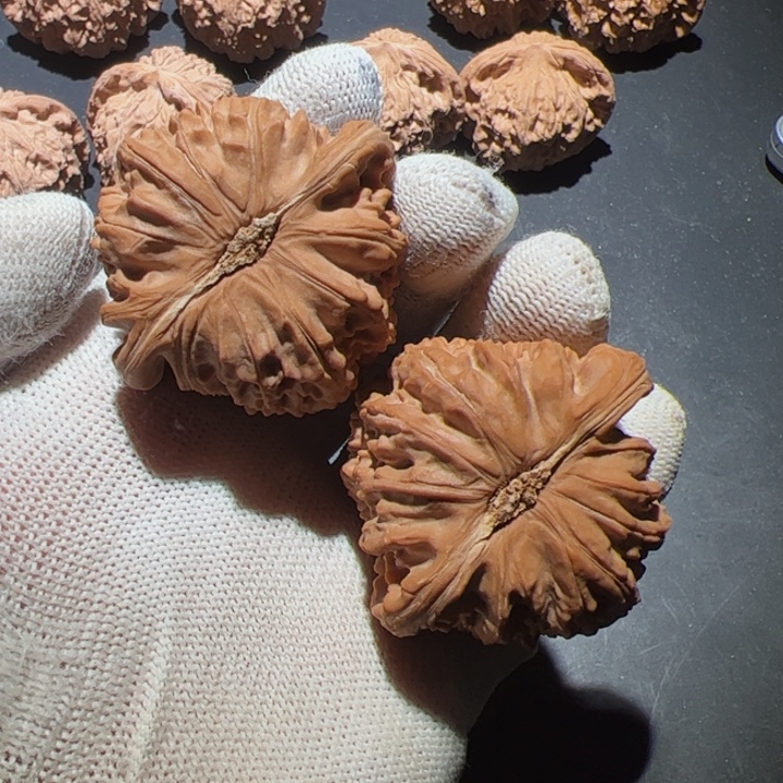 剑***心文玩核桃吊坠文玩核桃白狮子45