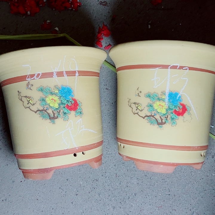 红陶紫砂这种紫砂