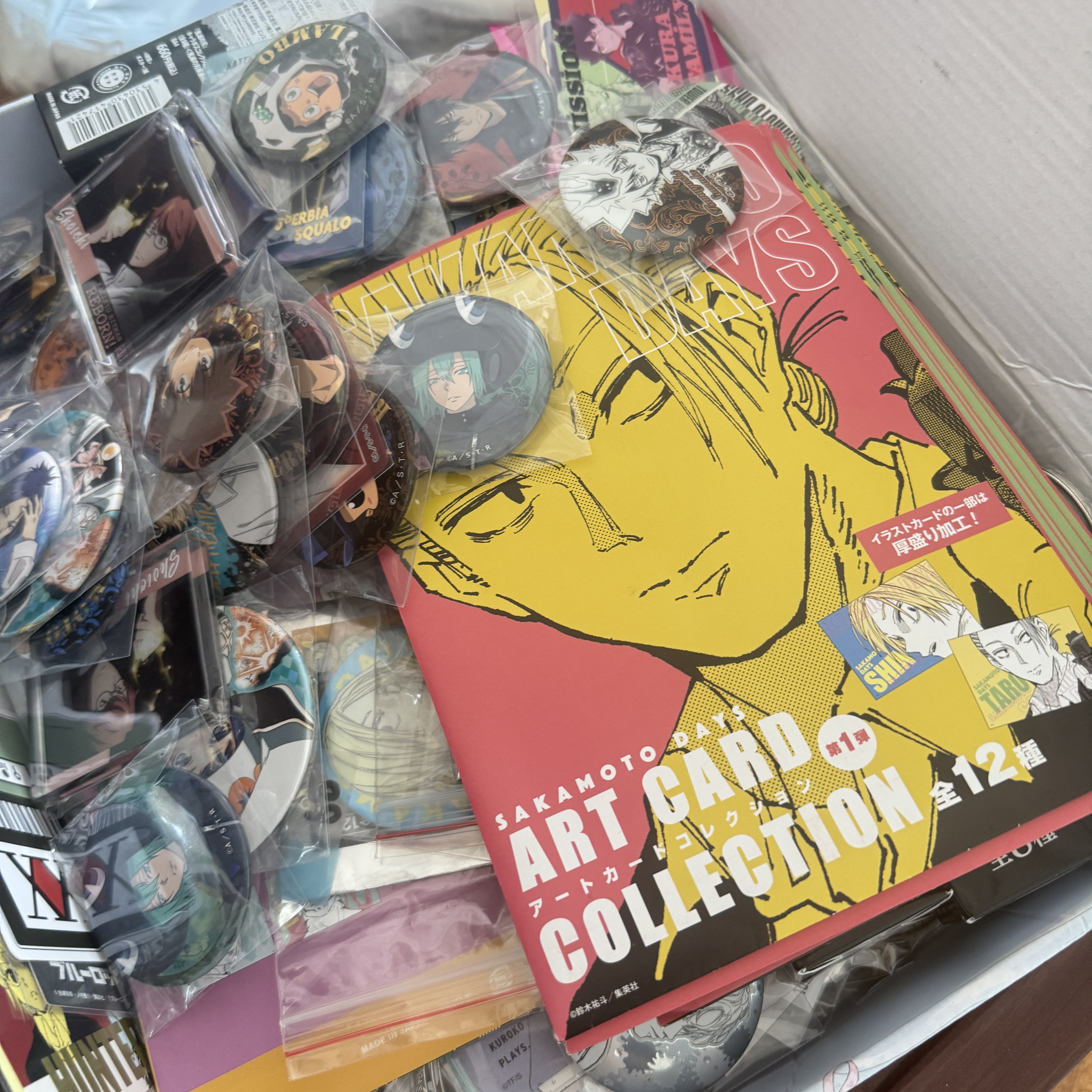 【巳火次元驿】中古日谷默认全瑕