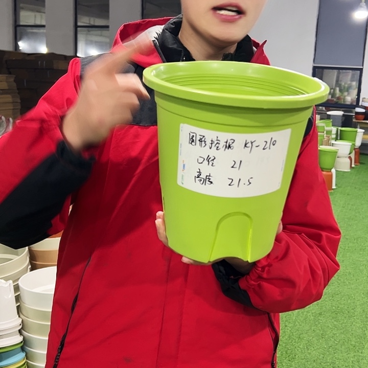 正品高陶口21高21果绿色8只无托