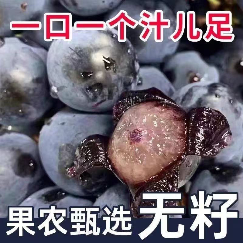 新疆蓝莓葡萄【次日达】新疆维吾尔自治区