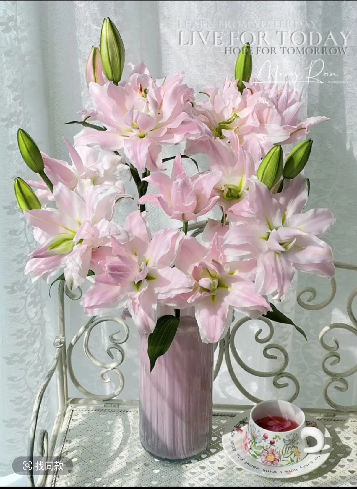 【女神】重瓣百合花  云南鲜切花基地直发