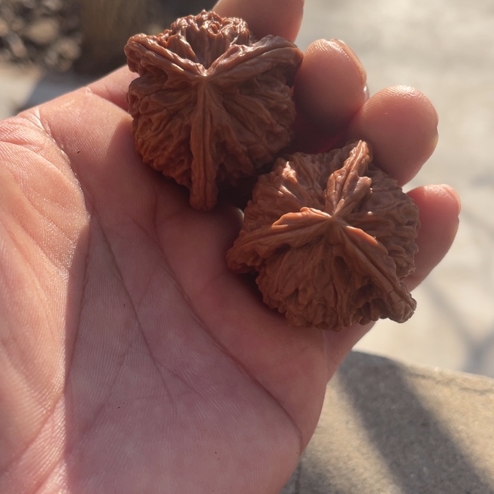 0***0吊坠文玩核桃三棱三棱三棱三棱