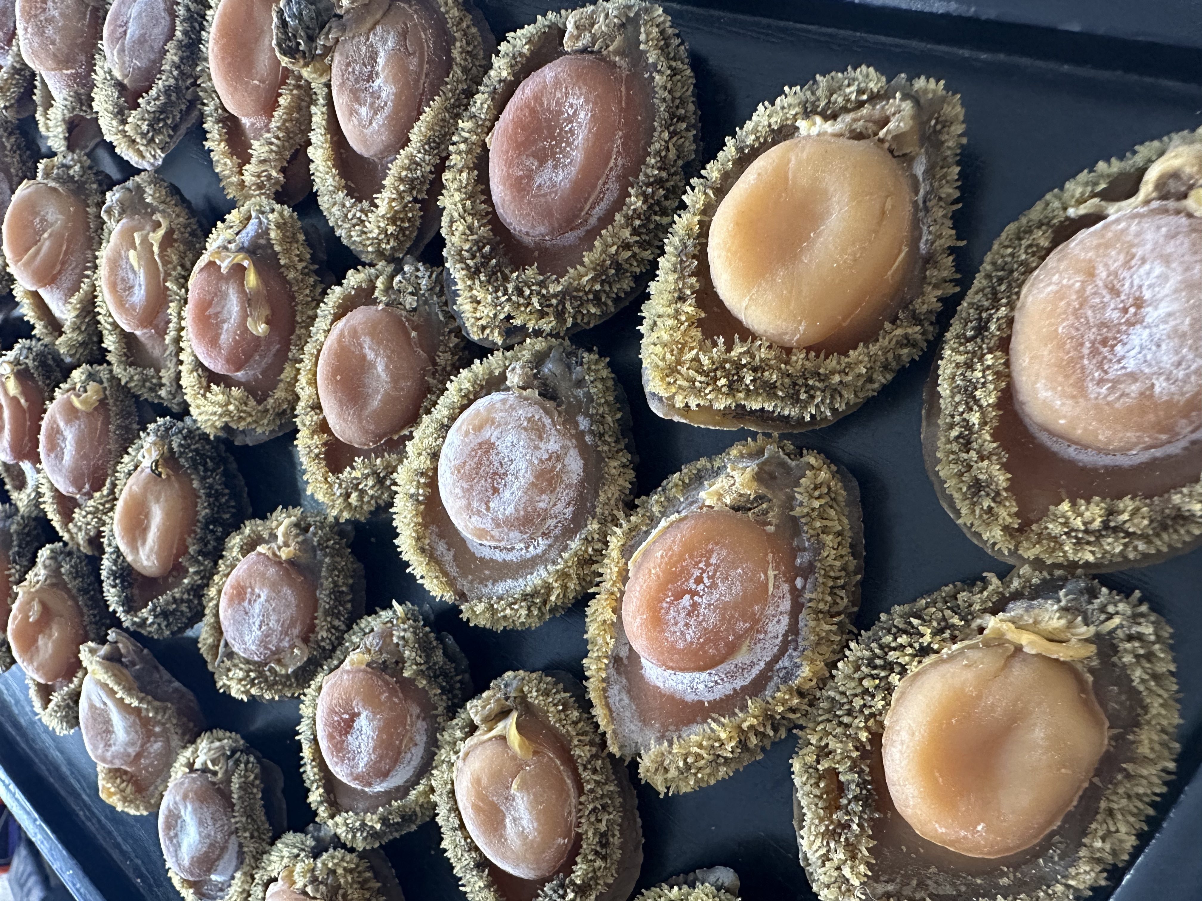 20-22头精选南非干鲍 香醇 软糯