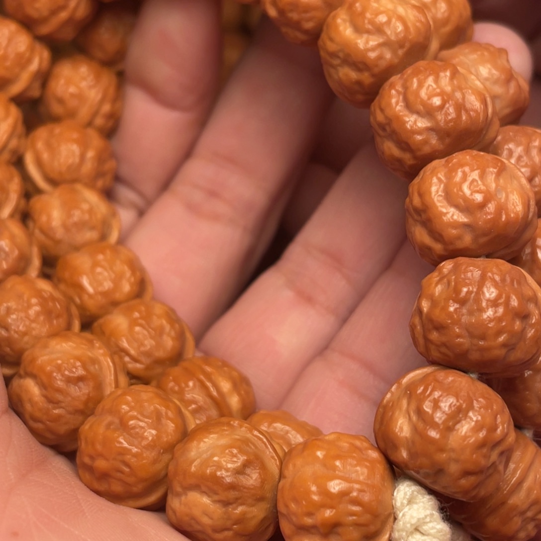 一***故崖柏猴头核桃树在哪里