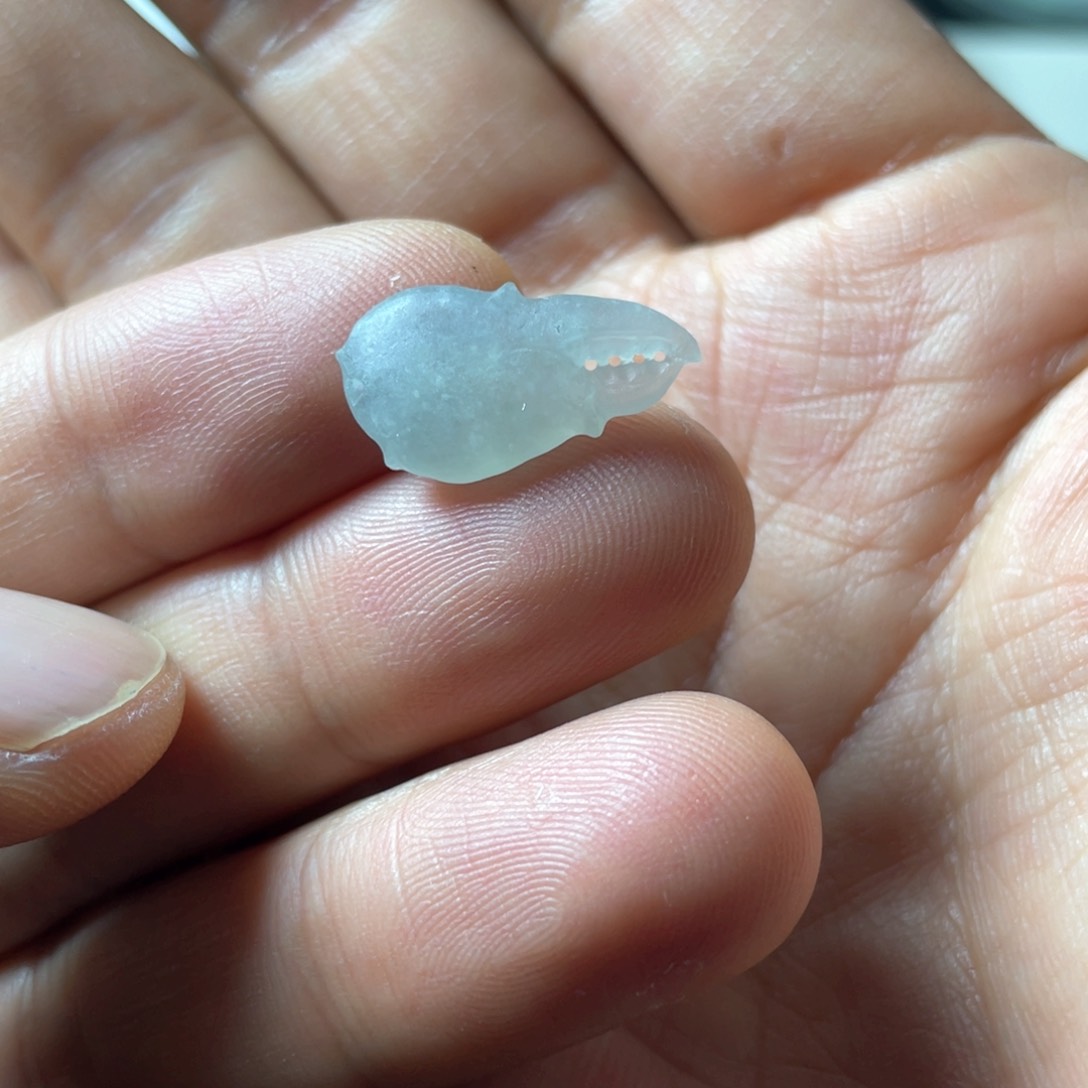 定制翡翠未镶嵌蟹钳