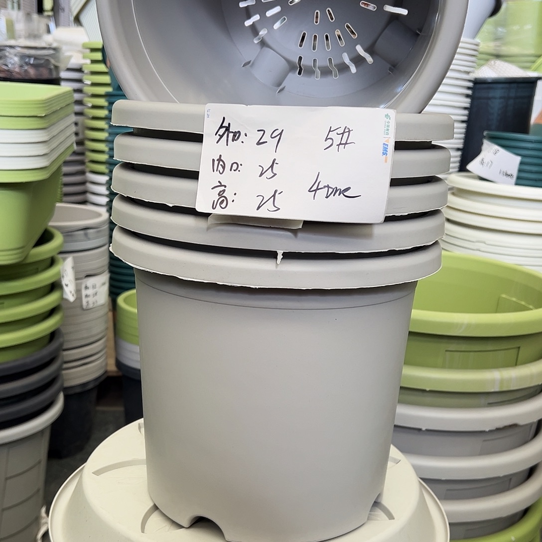 四季盆5#灰白6个无托