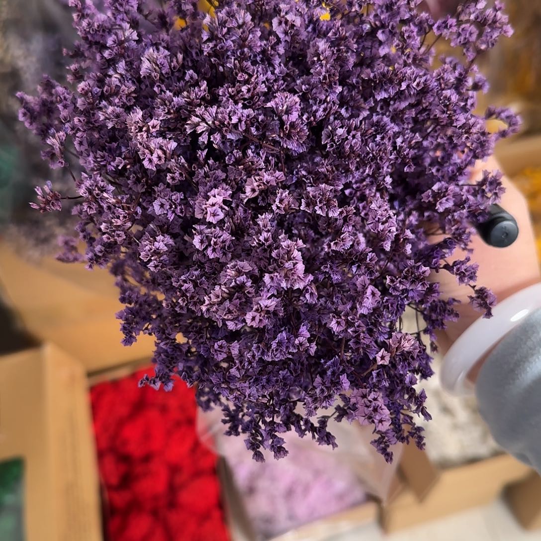 D59号紫色水晶草1束