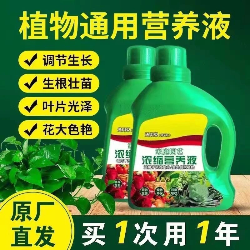 营养液植物通用型花肥发财树富贵竹绿萝水培发财树怎么养才能旺盛