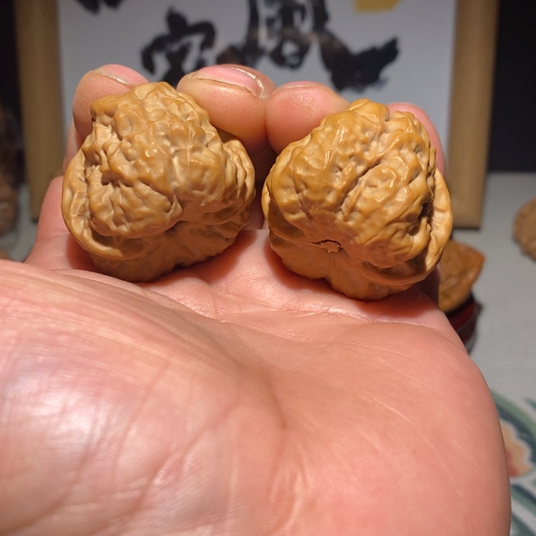 文玩核桃把件36尺全品蛤蟆头