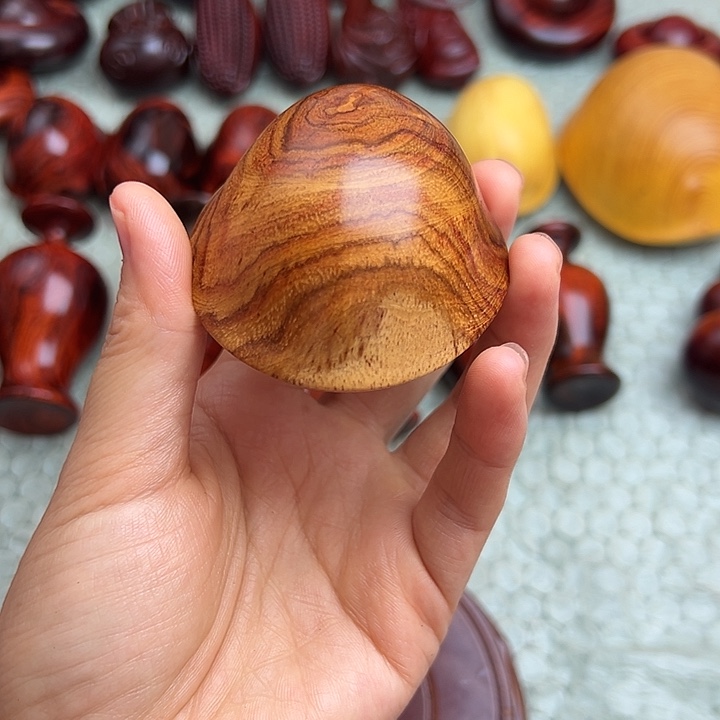 龙***窝木木木木木111111111