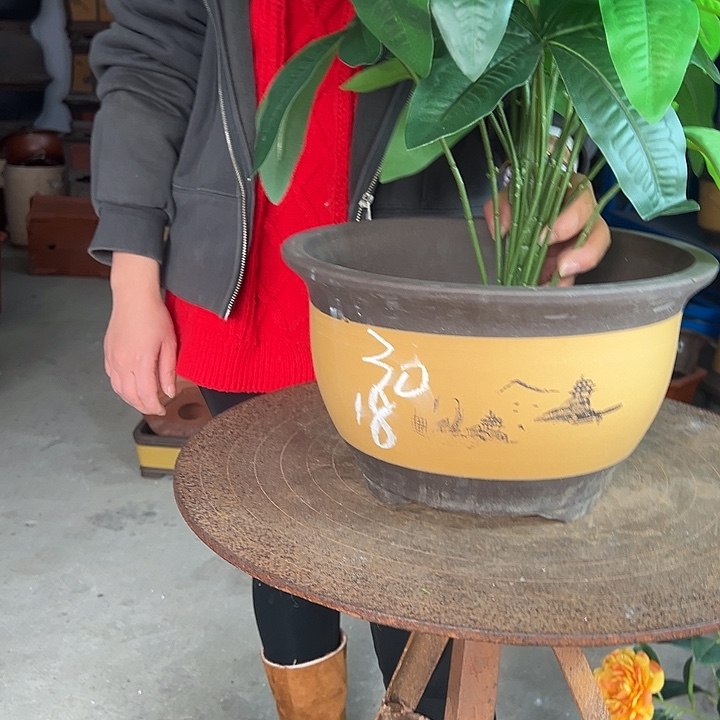 003花盆花盆花盆花盆花盆