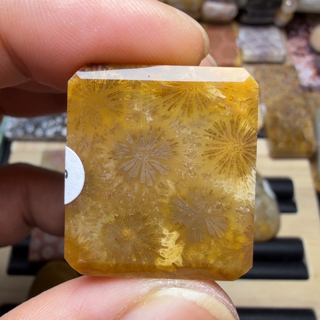 硅化玉未镶嵌纯天然色有机玉石保真色