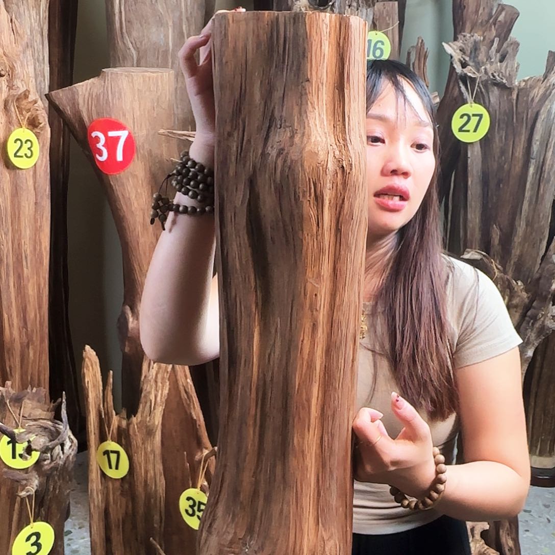 沉香沉香碎屑关**窗天然沉香原材料摆件➕底座