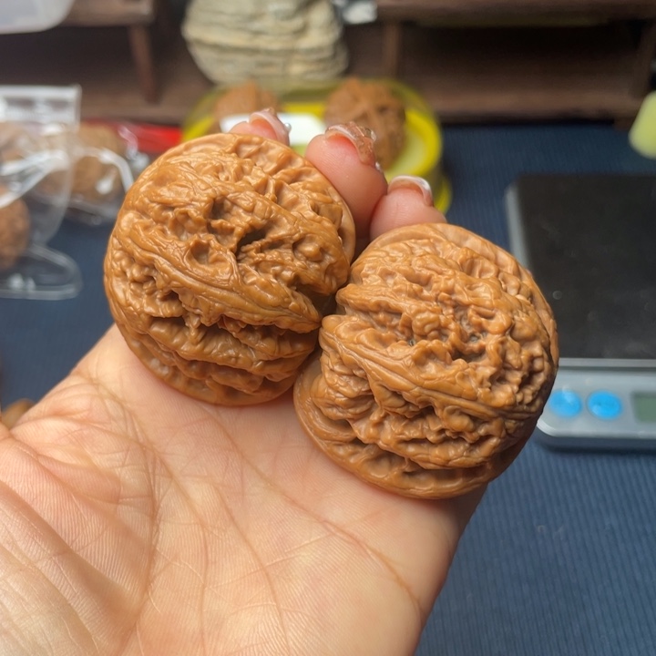 核桃46粗筋888888