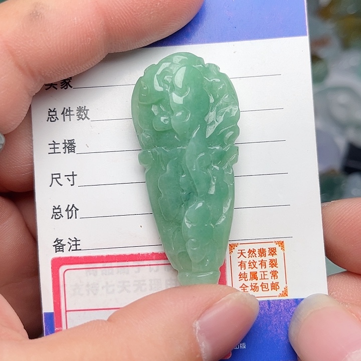 翡翠颈饰未镶嵌白菜