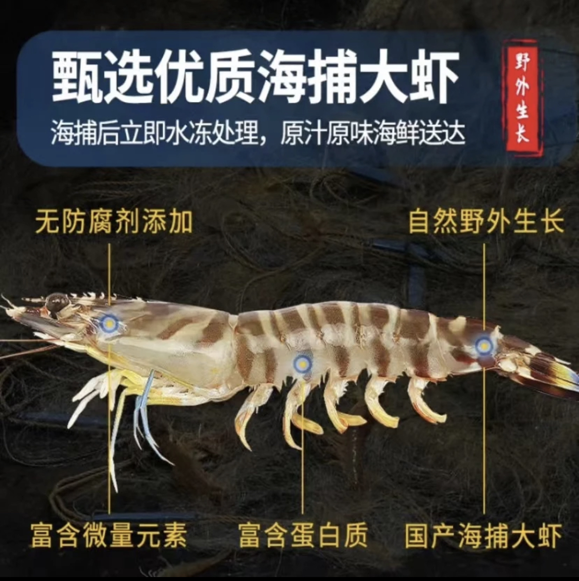 广西北海顺丰包邮野生竹节虾九节虾3斤，5斤起拍已售8890单