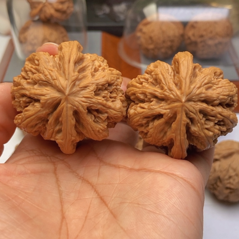 【闪购商品】文玩核桃把件43粗筋全品