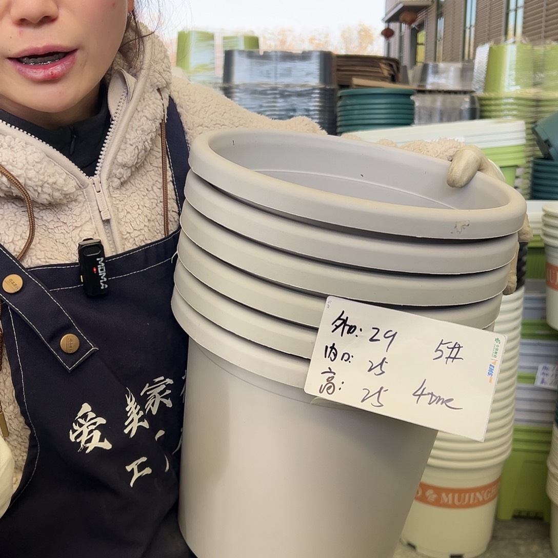 四季盆5#灰白6个无托