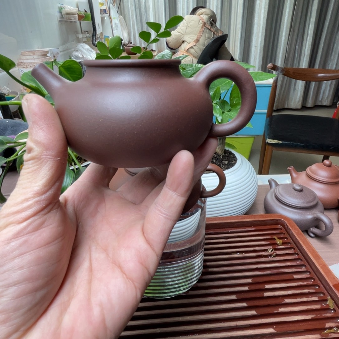 风***子紫砂茶壶没盖子容天