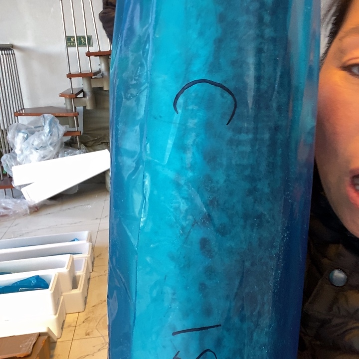 M***儿中国大陆渤海湾野生燕鲅鱼c