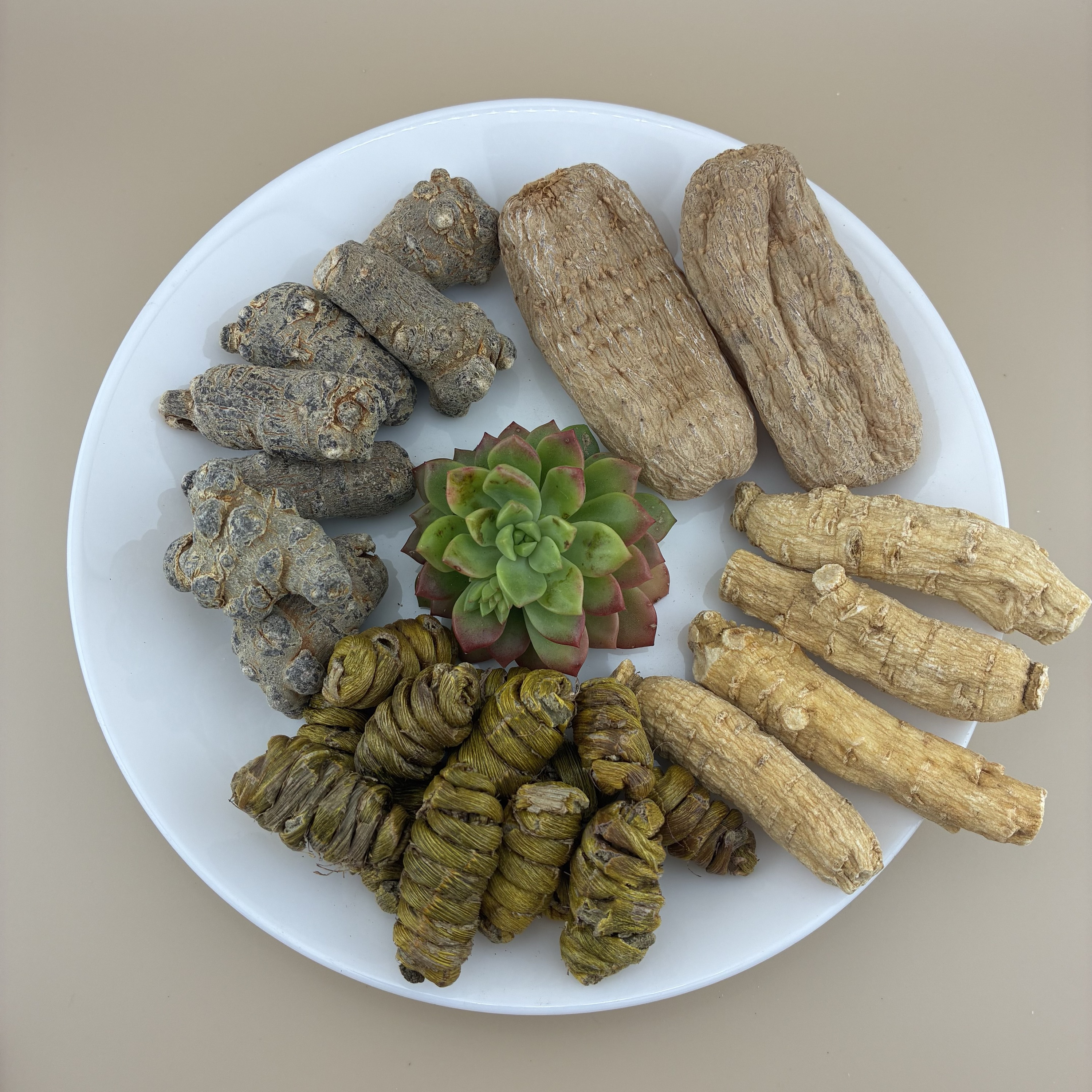 五宝组合 内含三七西洋参天麻石斛丹参