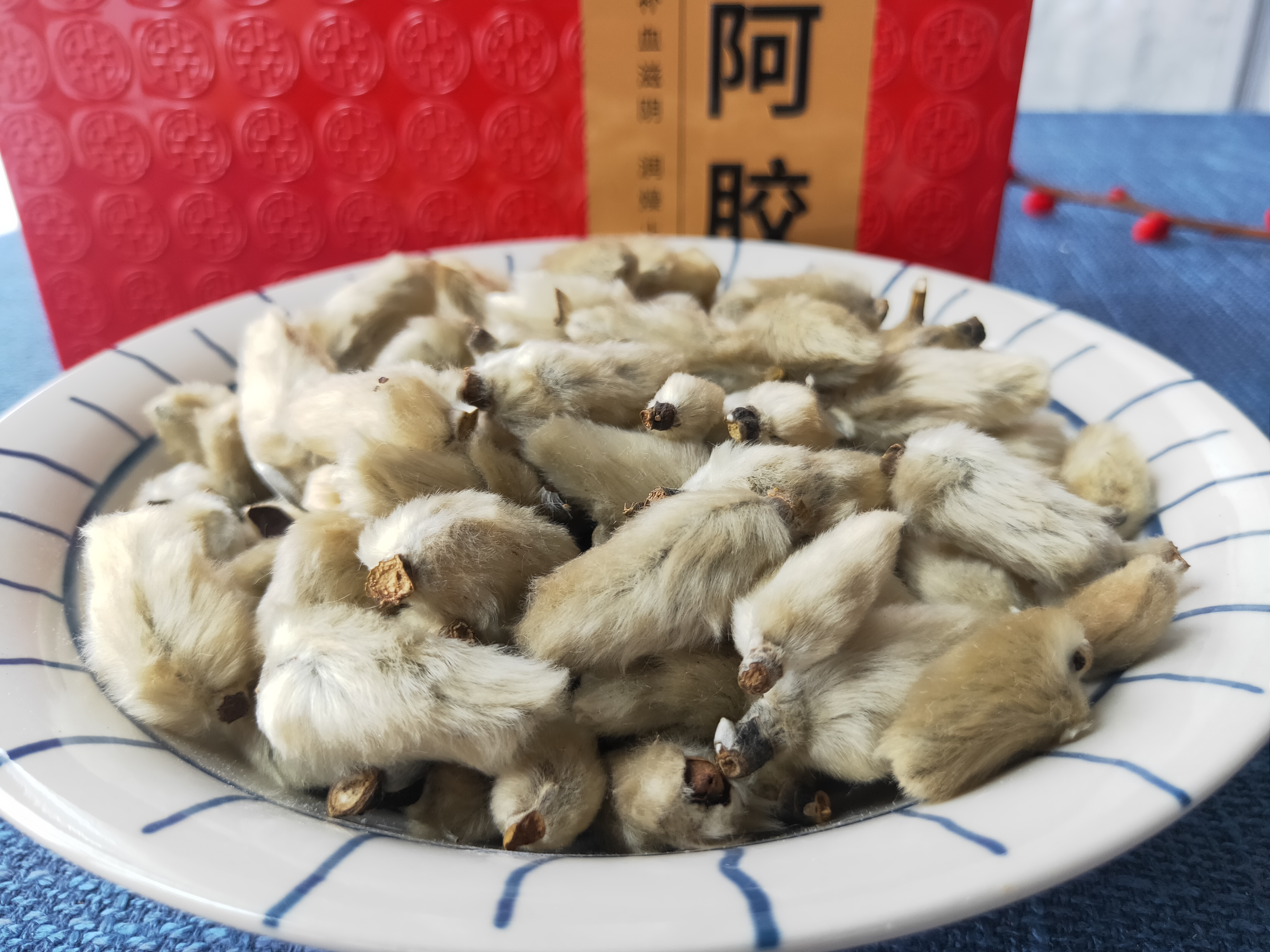 河南道地精品《辛夷花》