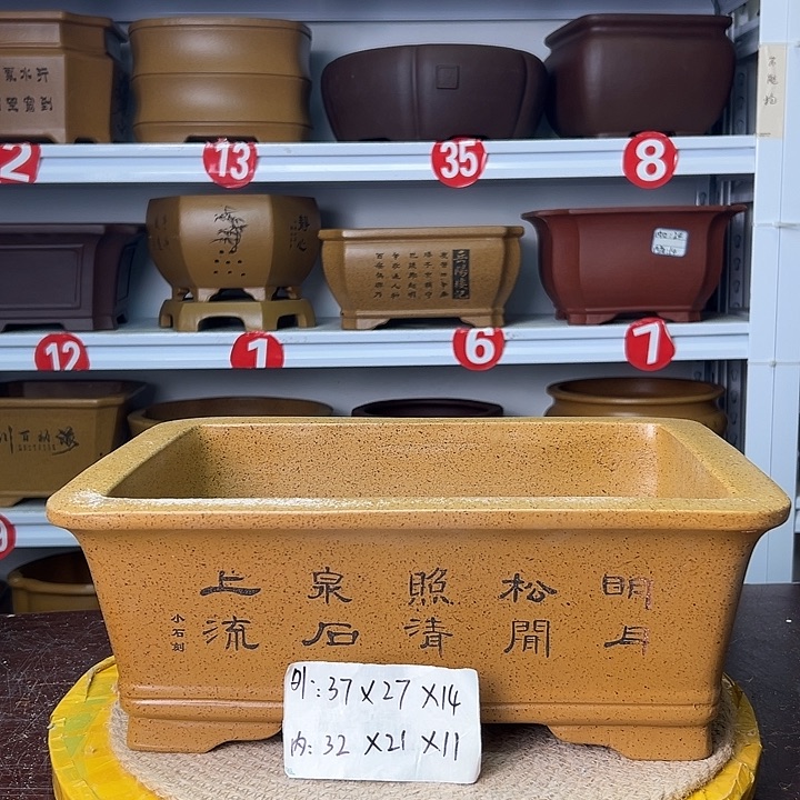 花盆紫砂蛇年大吉