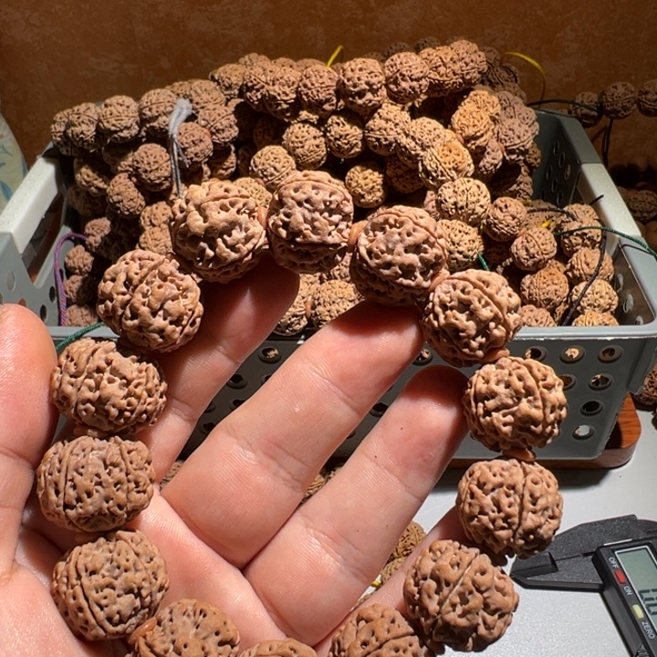 金刚菩提吊坠19号金刚