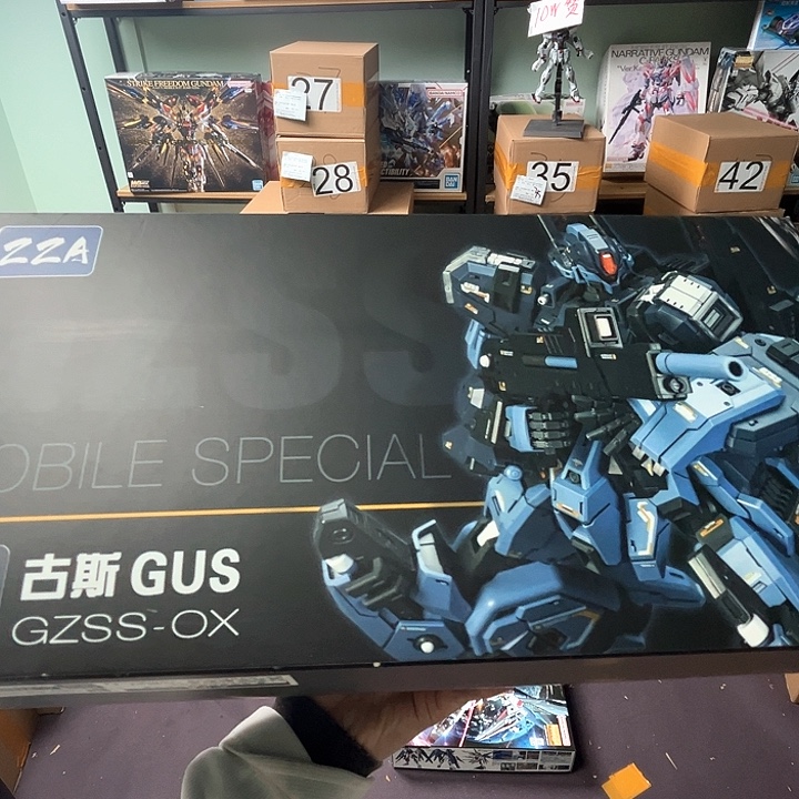 A***桉模型随机模型随机