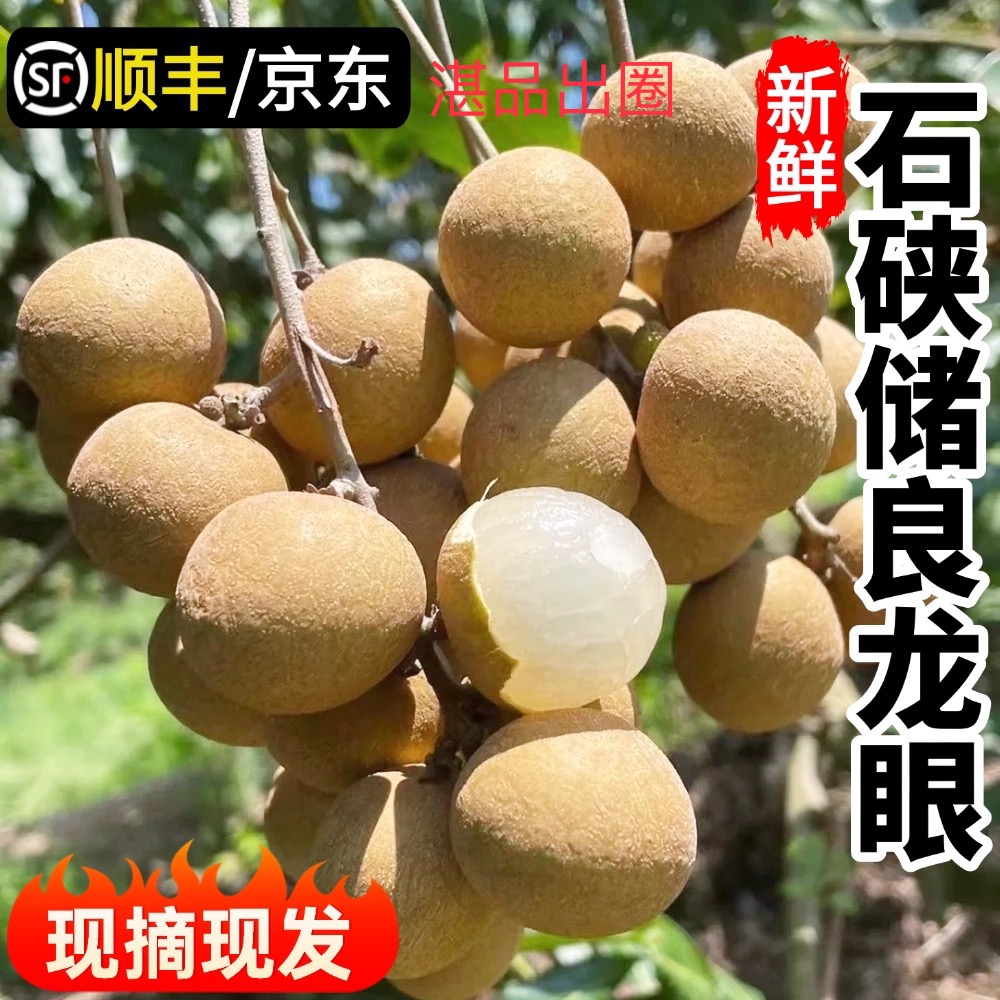 【顺丰包邮】正宗茂名石峡龙眼现摘现发新鲜清甜肉厚饱满当季水果