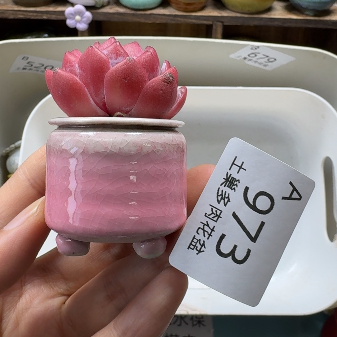 陶瓷艺术品设计与制作