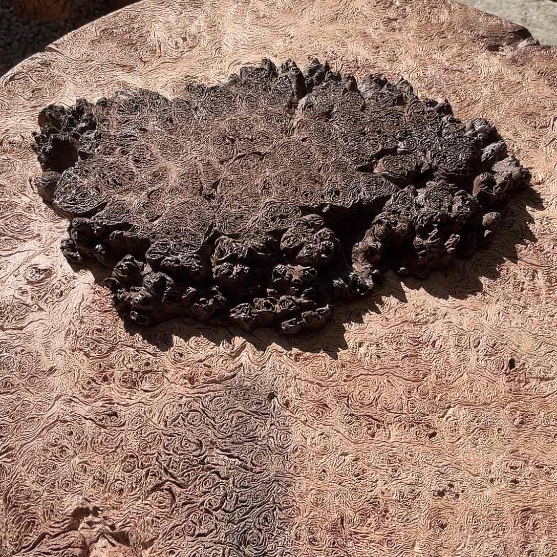 华***ㅤ有机玻璃铁栎木干泡