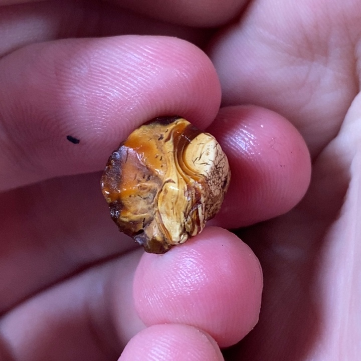 未镶嵌定制琥珀琥***班琥珀蜜蜡原石定制