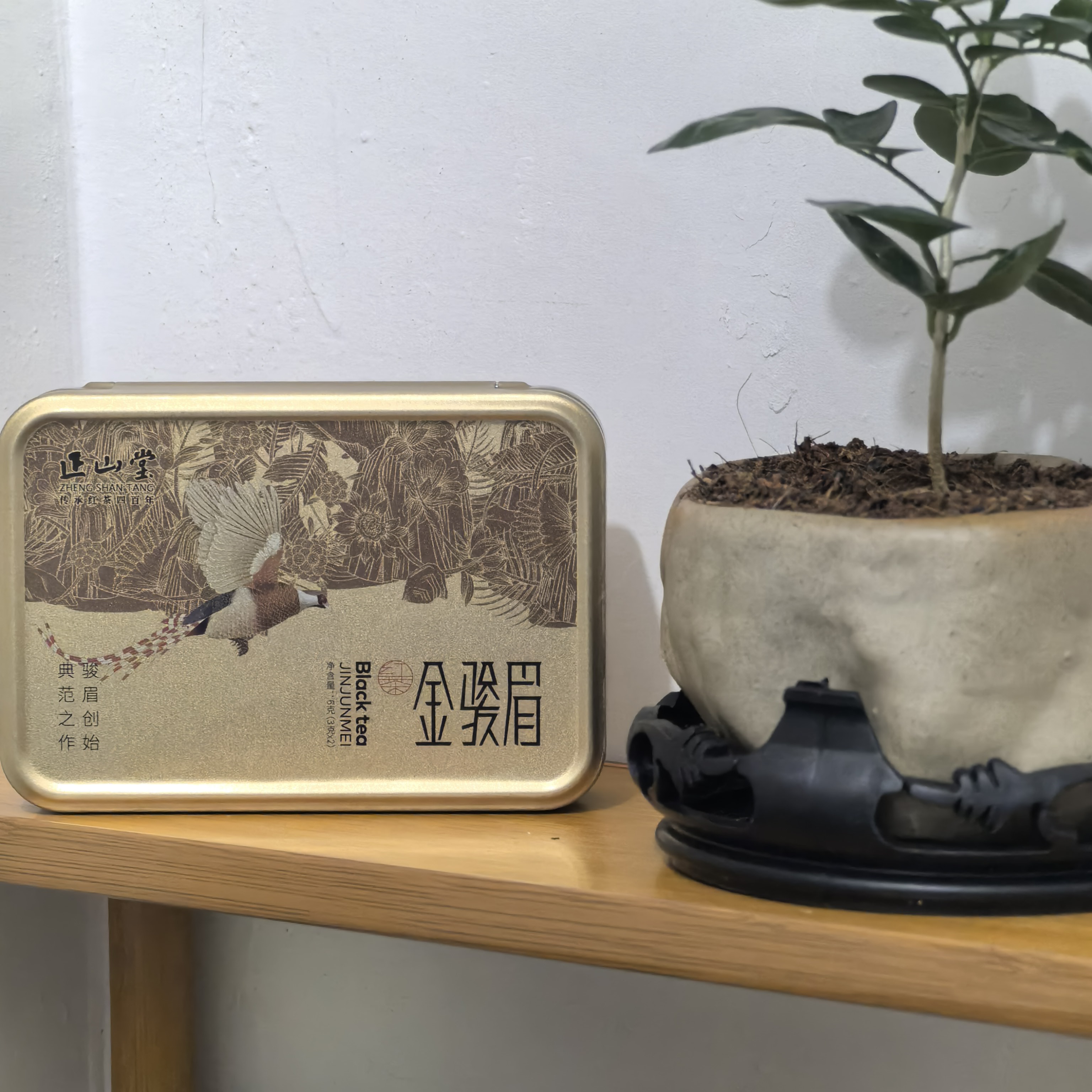 宋风雅韵金骏眉6克品鉴装.ZST