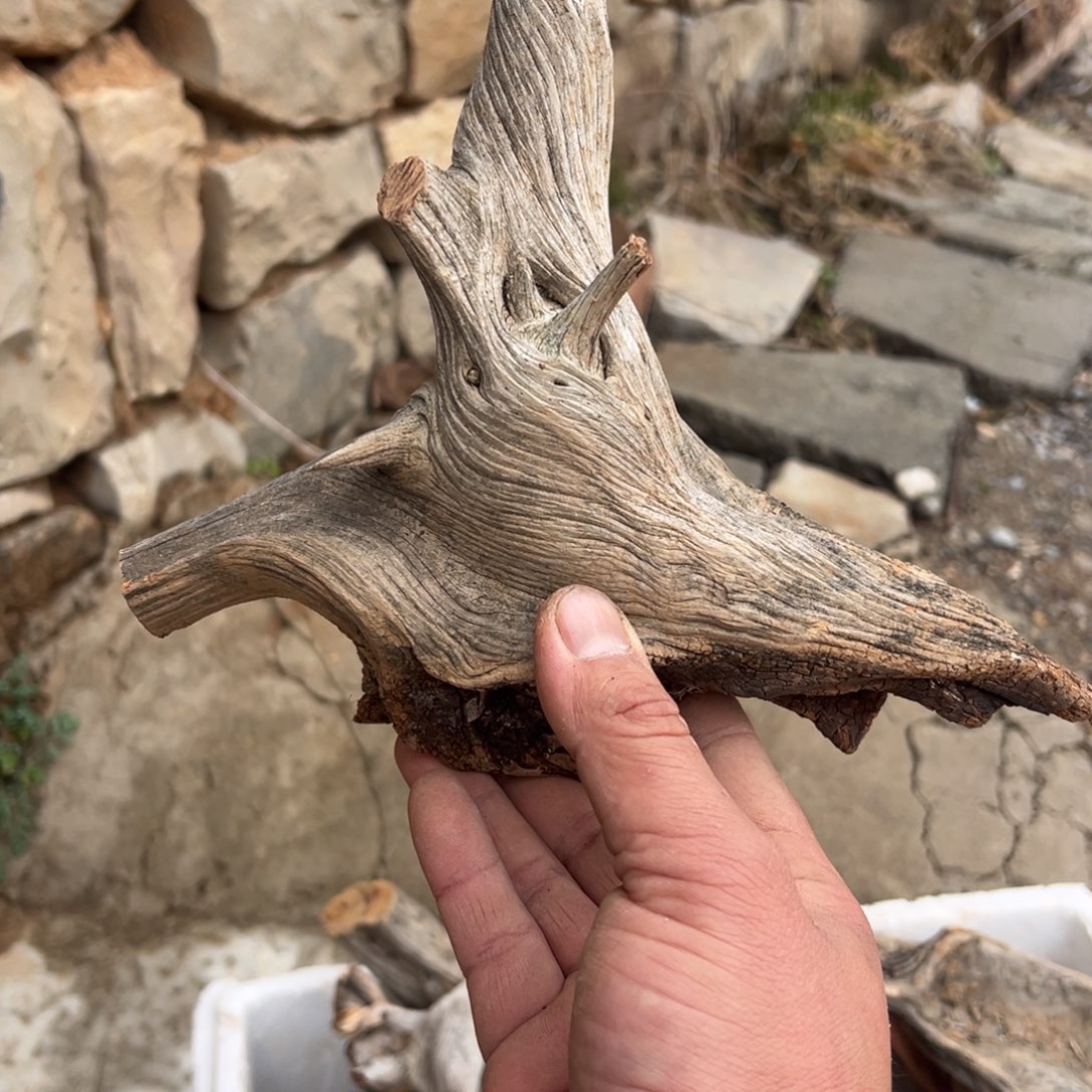 柏木（崖柏）爱****韩文玩根雕