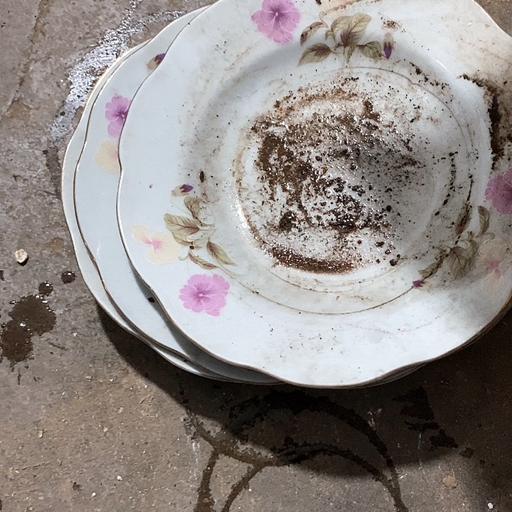 瓷片我是第一百个为