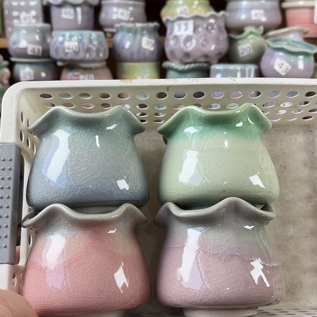 量货/口5.8/8.5高8深浅搭配发6个