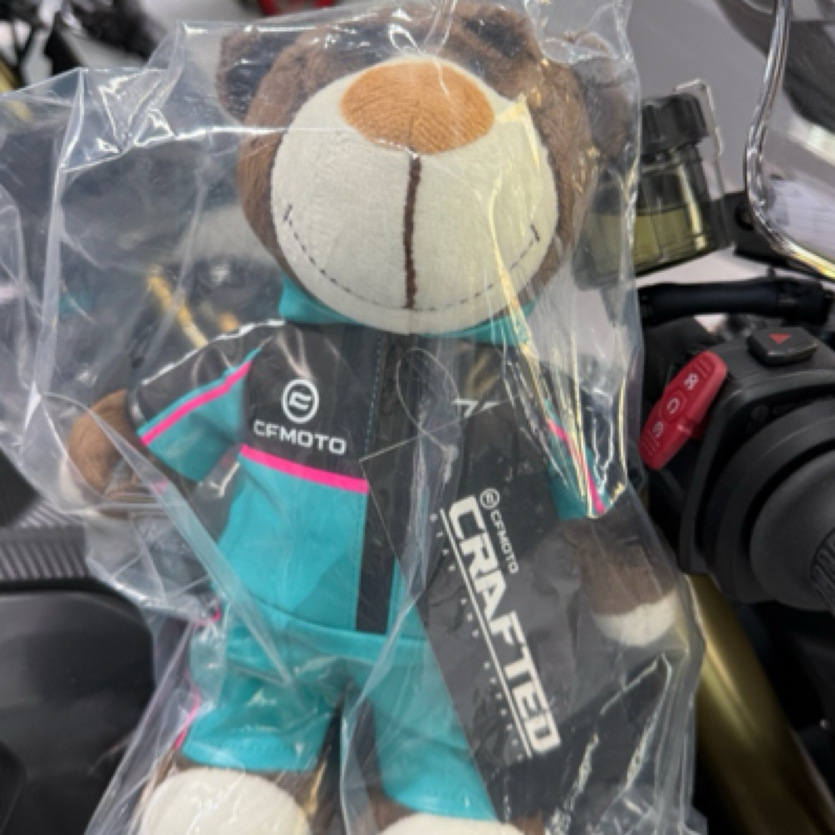 Cfmoto 长队小熊