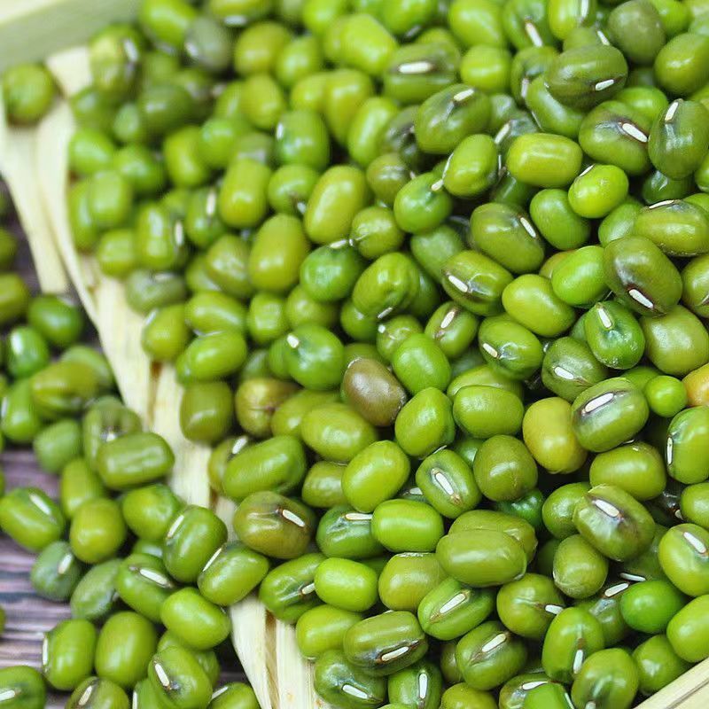 云南绿豆优选农家新绿豆绿豆粥绿豆汤笨绿豆发芽新鲜饱营养饱满