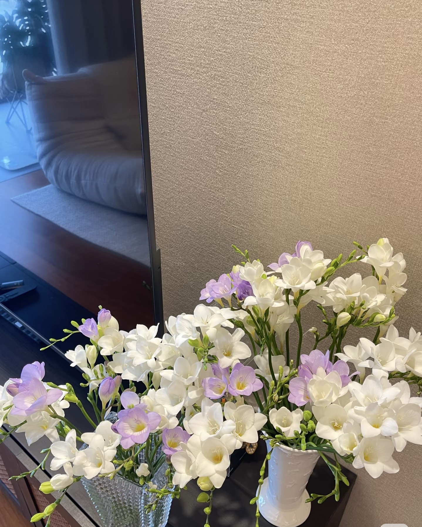 栖野绿境 香雪兰进口种球多年生香味浓郁阳台庭院可种植