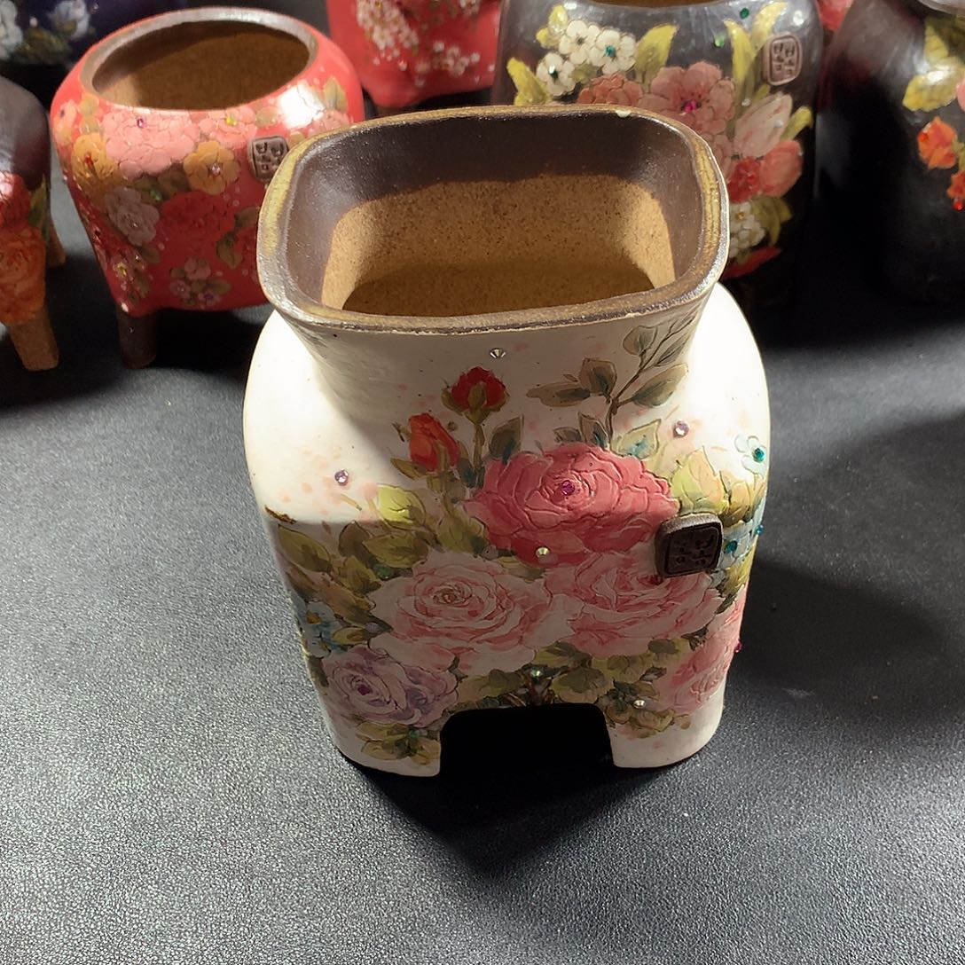 小茼蒿 白色花盆 发货