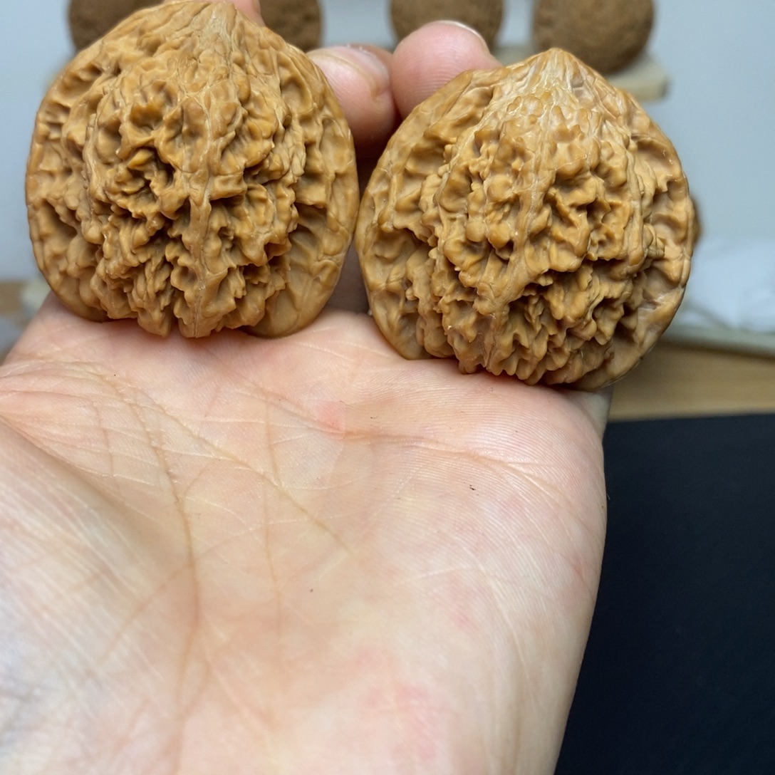 大叶紫檀（黑酸枝木类）