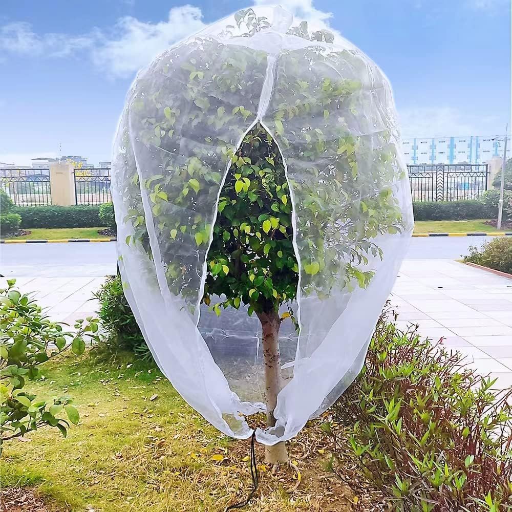 果树防虫网罩防鸟杨梅蓝莓大棚莲雾桃树樱桃植物瓜果网袋加拉链