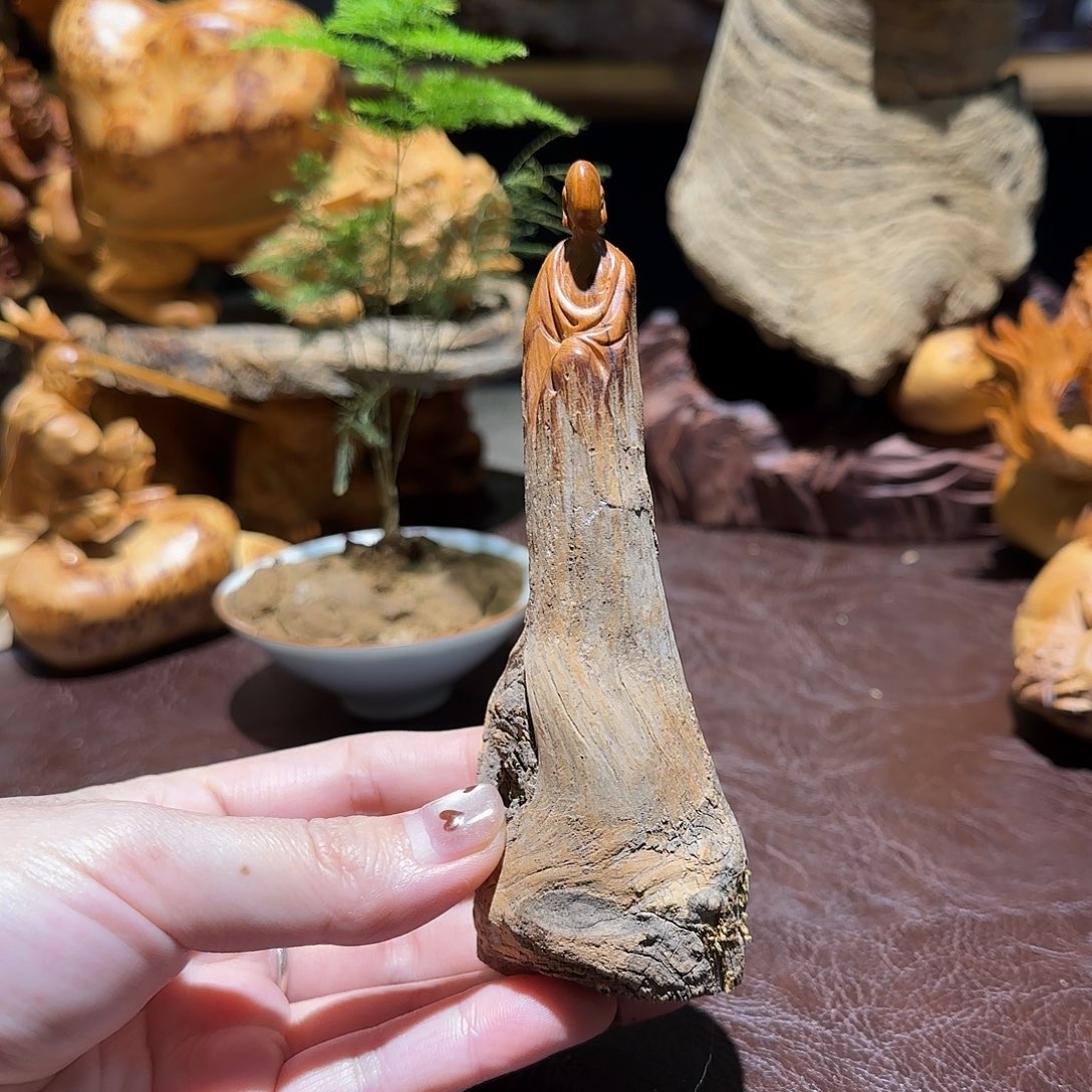 M***o柏木（崖柏）太行集团