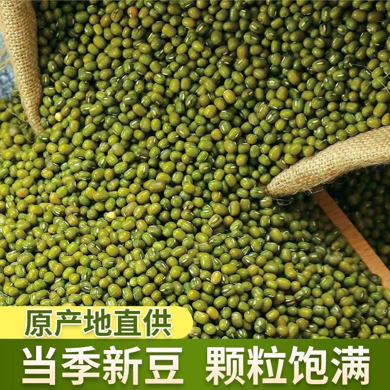【沙糯易煮】新绿豆农家自产优质绿豆绿豆糕绿豆汤解暑五谷杂粮2zd