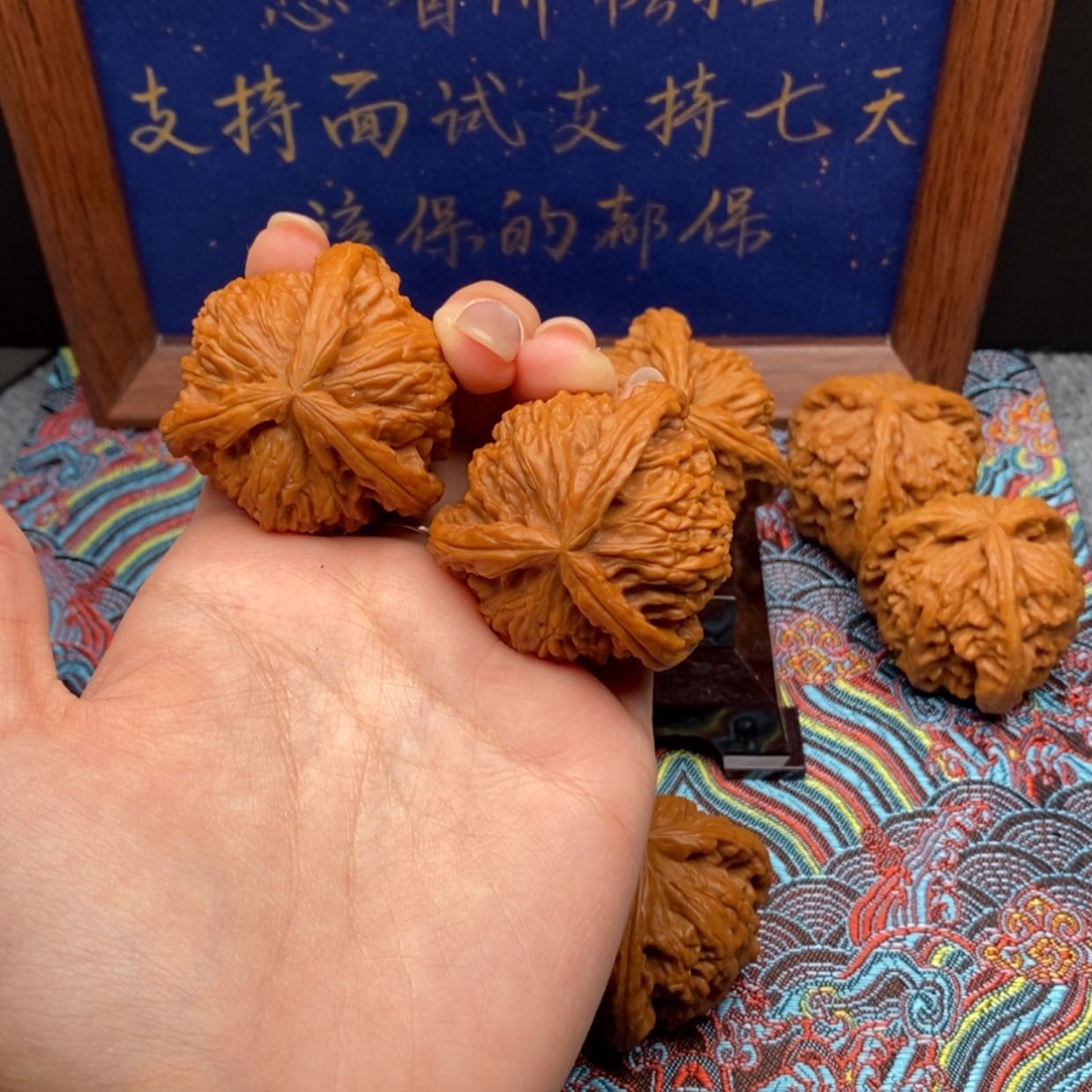 【闪购商品】海****宝白狮