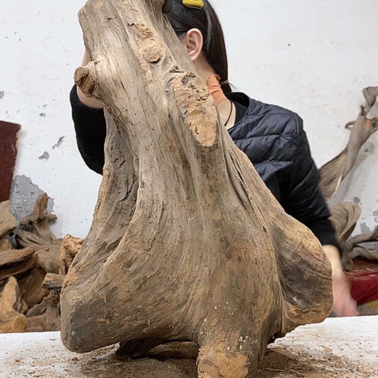 【闪购商品】柏木盛****生我们都是好孩子