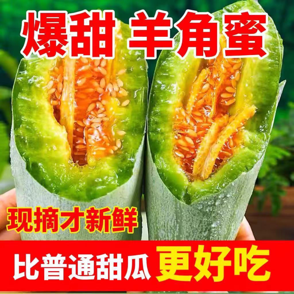 山东头茬羊角蜜甜瓜新鲜脆甜多汁应季水果